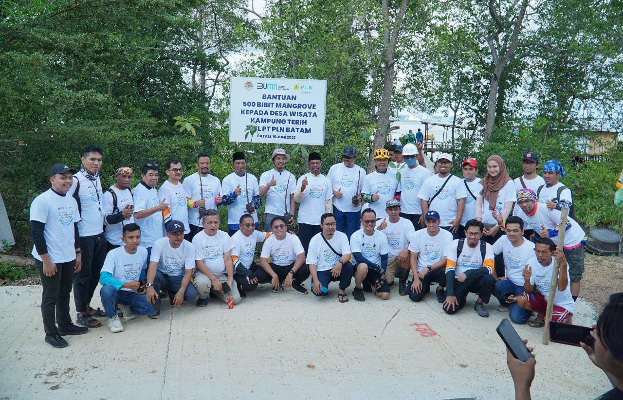 PLN Batam Tanam Bibit Mangrove dan Pungut Sampah di Desa Wisata Kampung Terih Dalam Rangka HLH Sedunia