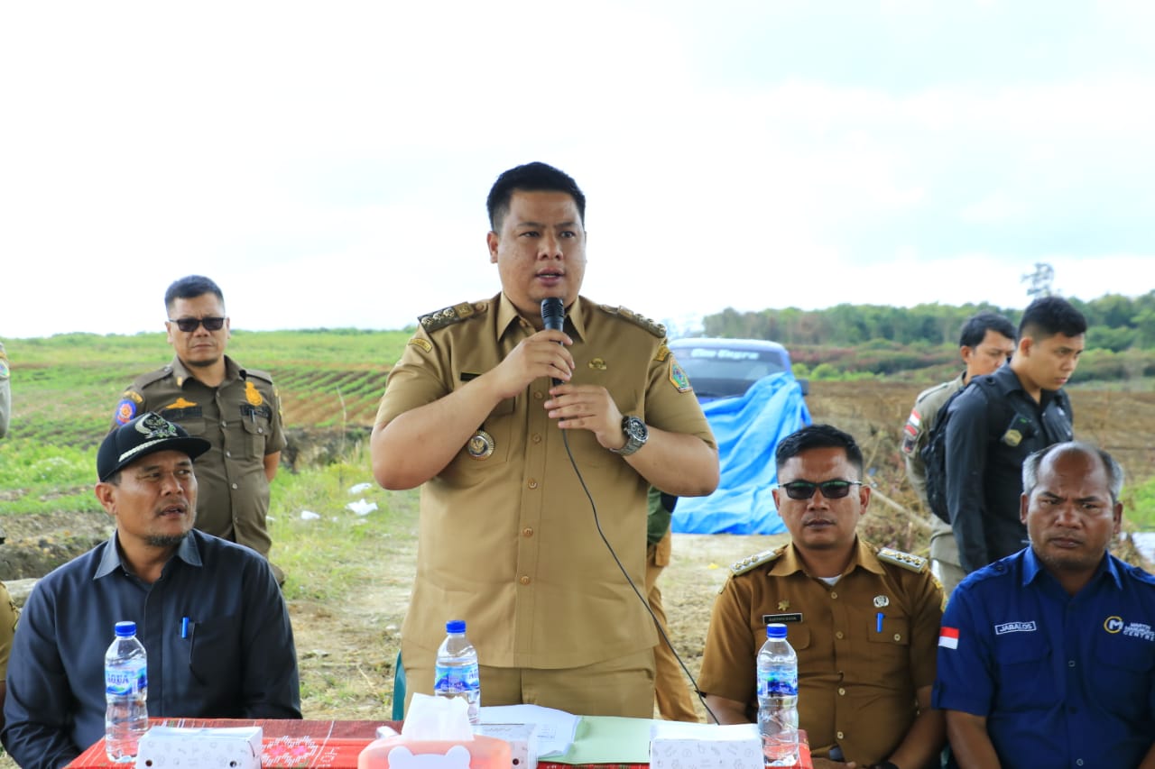 Bupati Samosir Bersama Petani Lakukan Penanaman Kentang di KPT Hariara Pintu