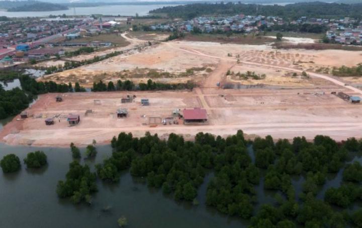 Diduga DLHK Kepri Tak Serius Tindak Dugaan Pelaku Penimbunan Hutan Mangrove di Bintan, Komitmen Gubernur Kepri Dipertanyakan