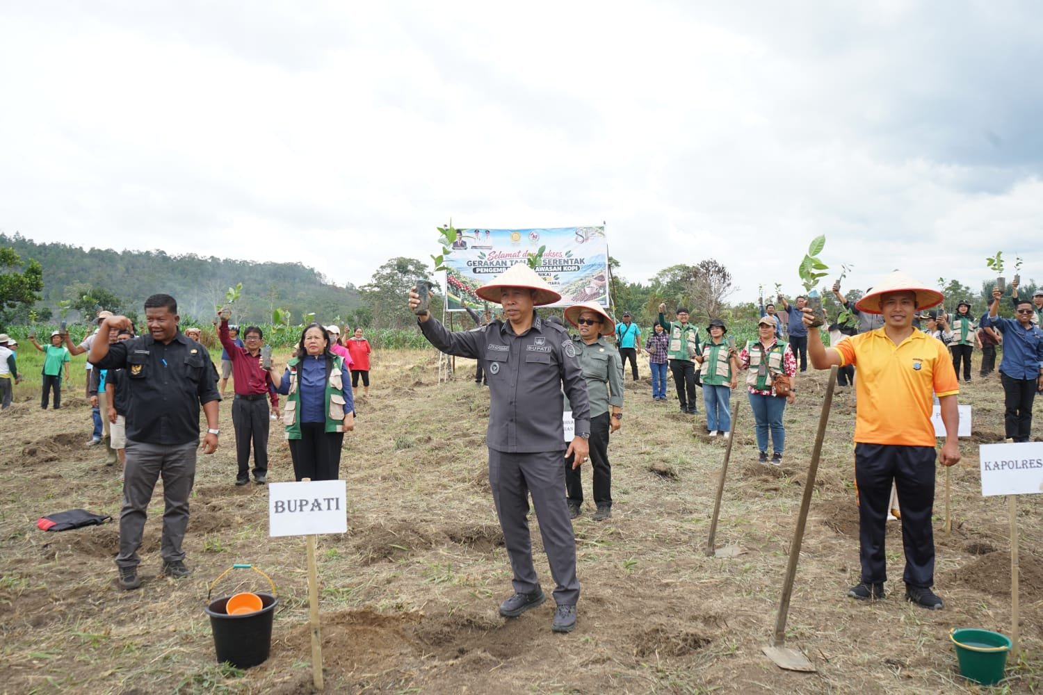 Dorong Kesejahteraan Petani, Taput Tanam 2,2 Juta Kopi Arabika