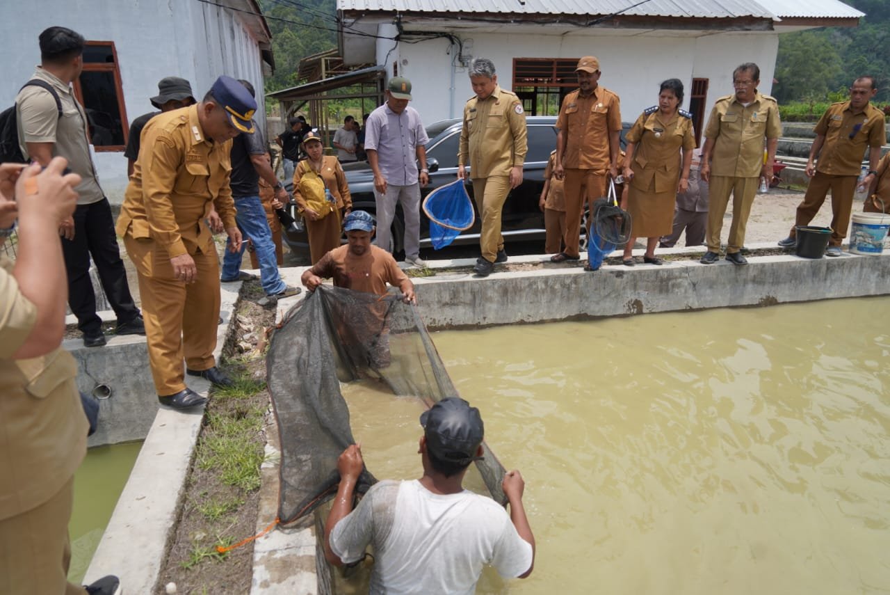 Tinjau BBI Purbatua, Pemkab Taput Dorong Inovasi Budidaya Ikan Air Tawar